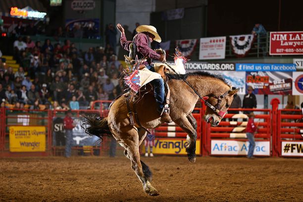 Stockyards Rodeo Things to Do Dallas Wanderer