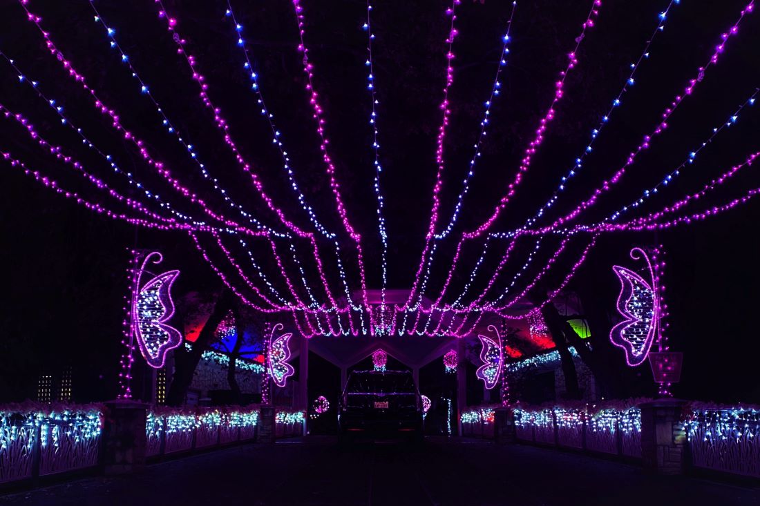 Dallas Zoo Lights - Outdoor Christmas in Dallas