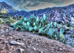 Long Weekend Trips from Dallas - Big Bend National Park