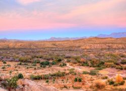 Long Weekend Trips from Dallas - Big Bend National Park