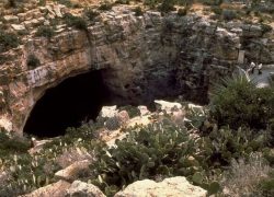 Long Weekend Trips from Dallas - Carlsbad Caverns