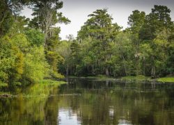 Long Weekend Trips from Dallas - New Orleans