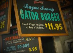 Long Weekend Trips from Dallas - New Orleans