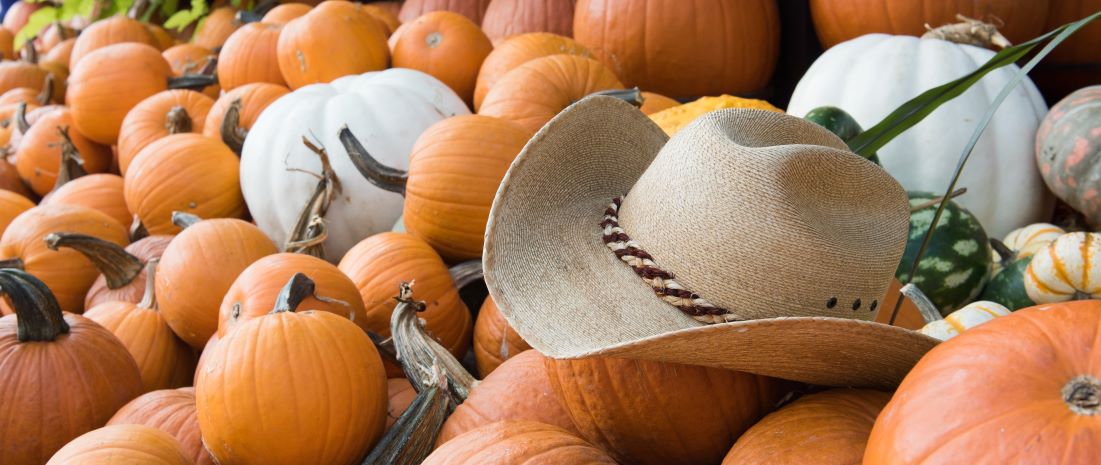best fall events in dallas