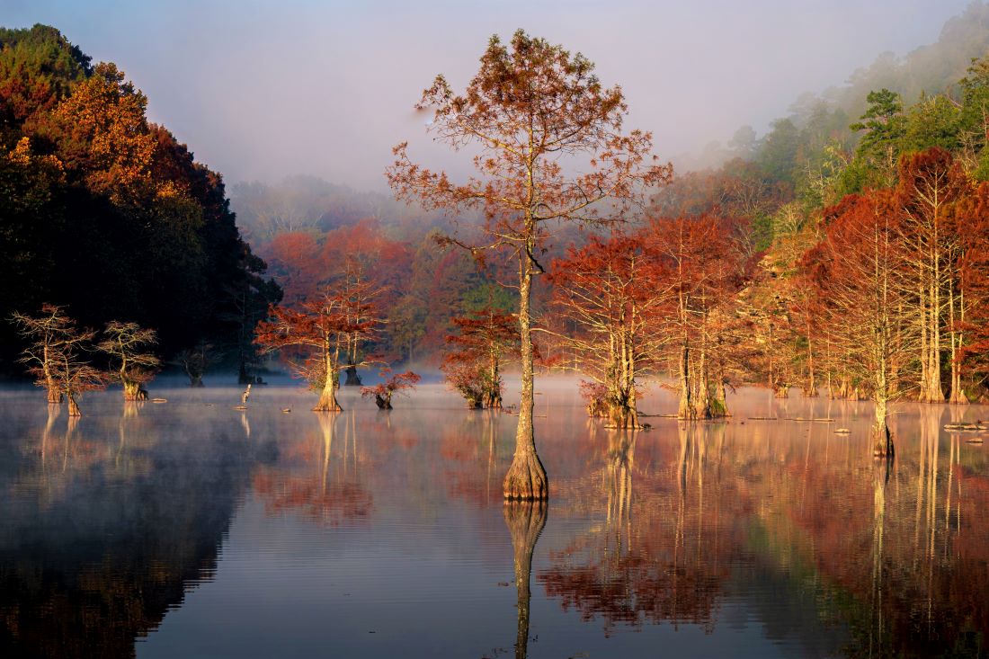 Beavers Bend State Park - Fall Travel Oklahoma
