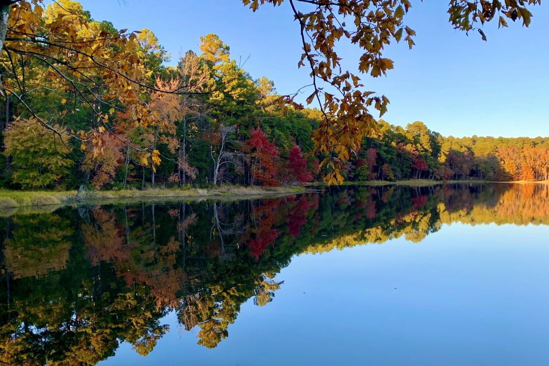 Daingerfield State Park - Fall Foliage near Dallas