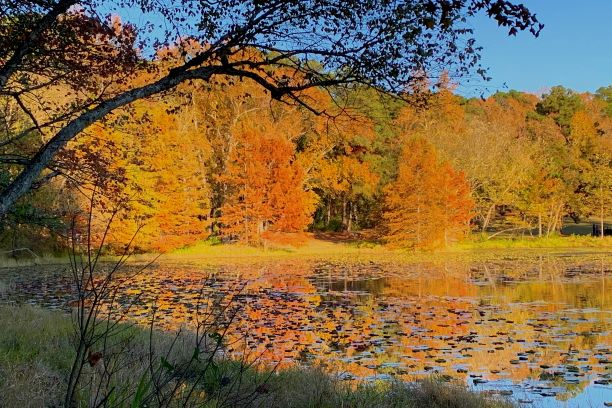 Daingerfield State Park Weekend Trip Dallas North Texas