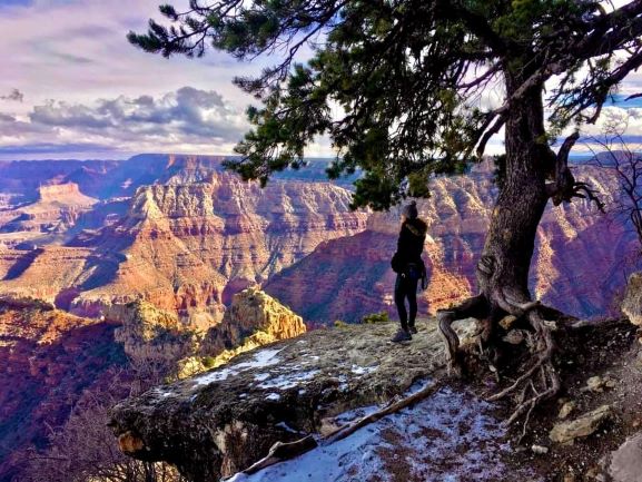 road trip dallas grand canyon