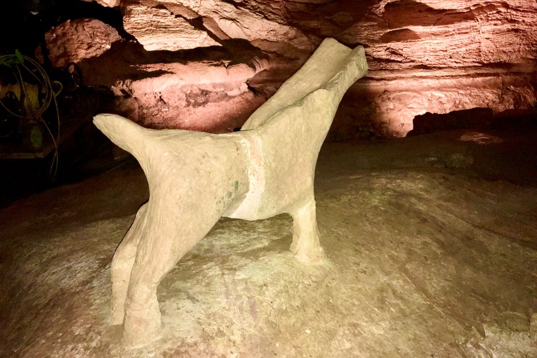 Longhorn Caverns Texas Hill Country