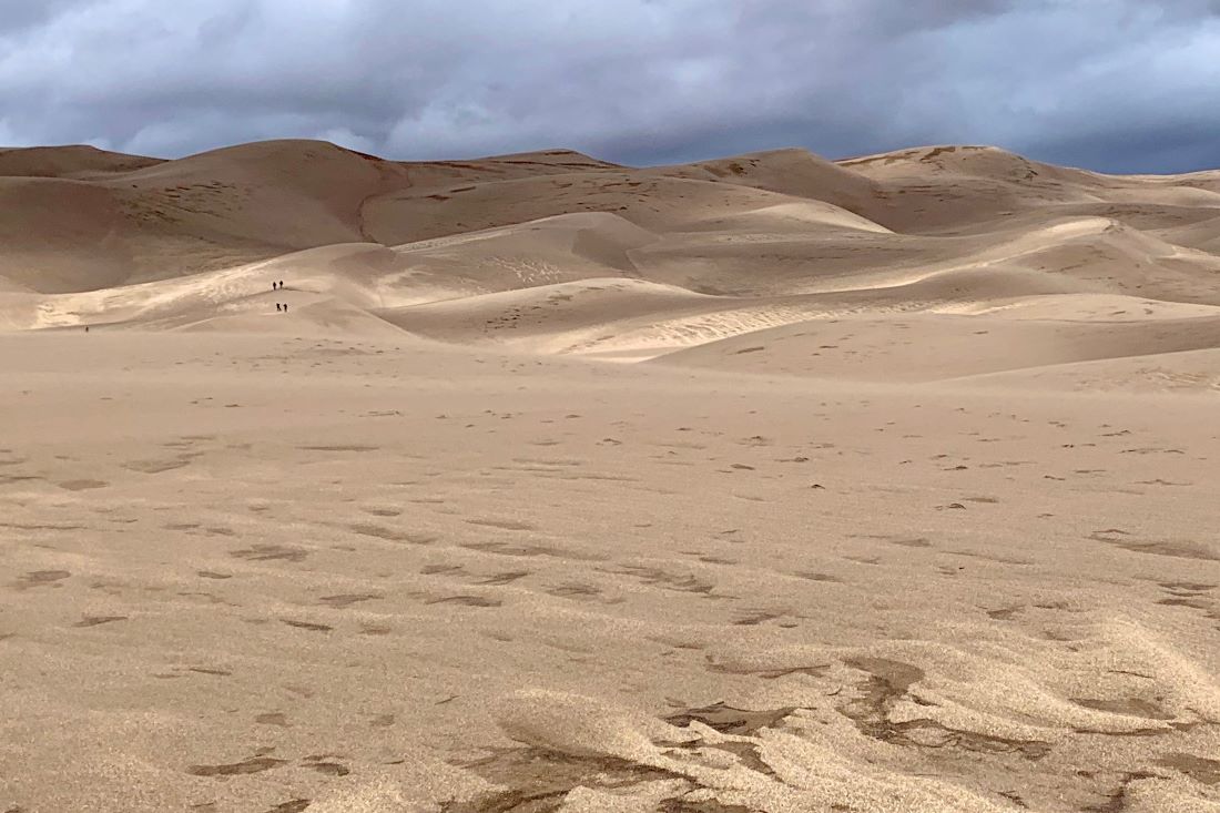 Monahans Sandhills State Park Texas