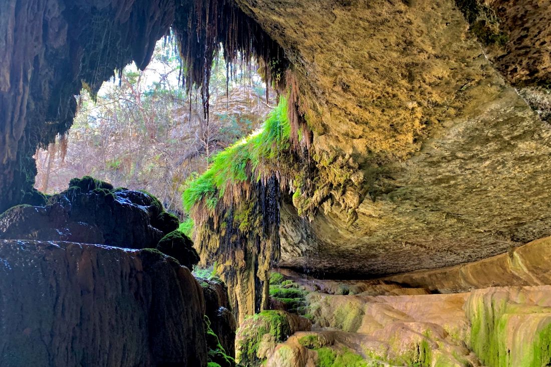 Westcave Preserve Texas Nature Wonders Dallas Wanderer