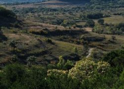 Best Weekend Getaways from Dallas - Marble Falls - Balcones Canyonlands National Wildlife Refuge