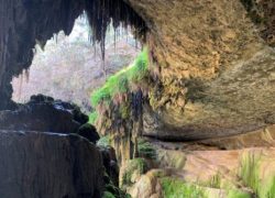 Best Weekend Getaways from Dallas - Jhonson City - Westcave Discovery Center
