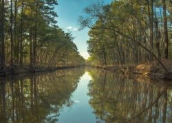 Best Weekend Getaways from Dallas - Jefferson - Caddo Lake