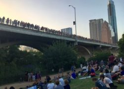 Best Weekend Getaways from Dallas - Austin - Austin Bats