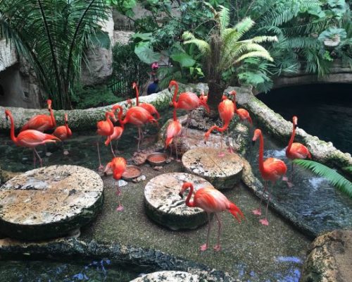 Dallas World Aquarium