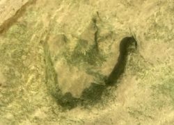 Best Weekend Getaways from Dallas - Glen Rose - Dinosaur Valley State Park