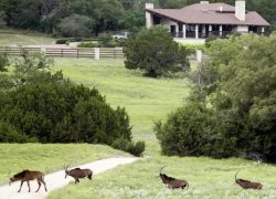 Best Weekend Getaways from Dallas - Glen Rose - Fossil Rim