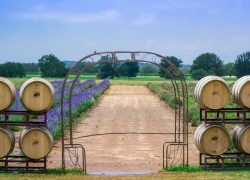 Fredericksburg Winery Weekend Trip Texas