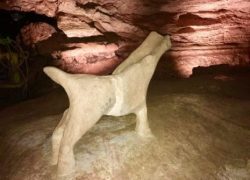 Best Weekend Getaways From Dallas - Marble Falls - Longhorn Caverns