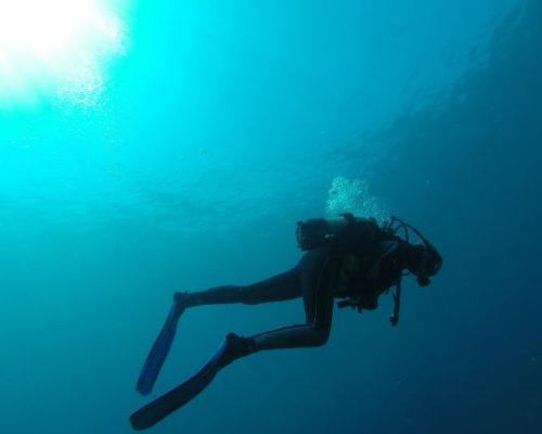 scuba diving athens tx things to do summer dallas hidden gems