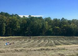 Best Weekend Getaways from Dallas - Crater of Diamonds State Park